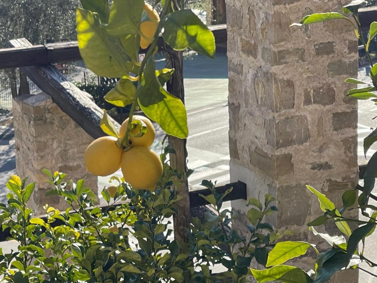 B&B Casa Limone Limone sul Garda Ngoại thất bức ảnh